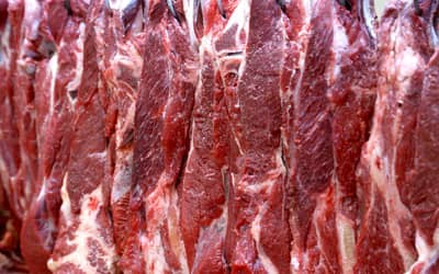 Brasil chega a 500 mercados abertos ao fechar acordo com Guatemala sobre carne bovina