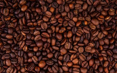 Café hoje: confira as cotações para terça-feira (9)