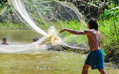 Seguro-defeso: pescadores precisam enviar REAP pelo PesqBrasil até esta quarta-feira (31)