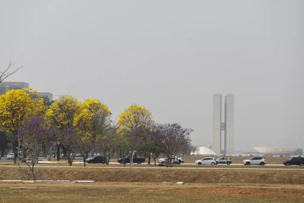 Preço da gasolina e diesel em Brasília (DF): veja os valores médios