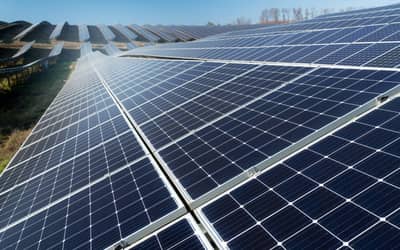 Banco da Amazônia fecha parceria de US$ 627 milhões para transição energética na Amazônia Legal