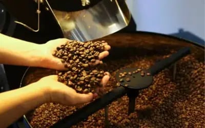Café hoje: confira cotações para esta segunda-feira (8)