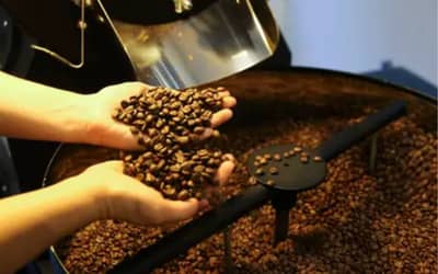 Café hoje: confira cotações para esta segunda (1º)