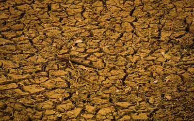 Bancada do Agro analisa contraproposta do governo sobre dívidas rurais