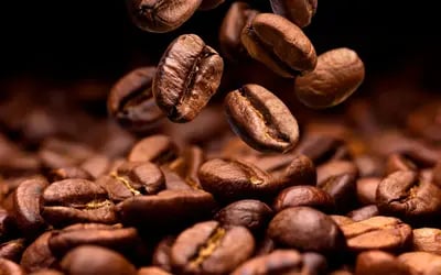 Café hoje: confira as cotações para esta terça-feira (21)