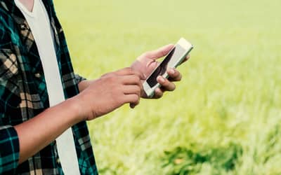 Expansão do 4G no campo: Piauí soma mais de 50 localidades conectadas