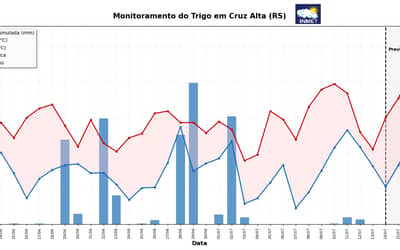 INMET emite alerta fitossanitário para lavouras de trigo no Sul após aumento das chuvas