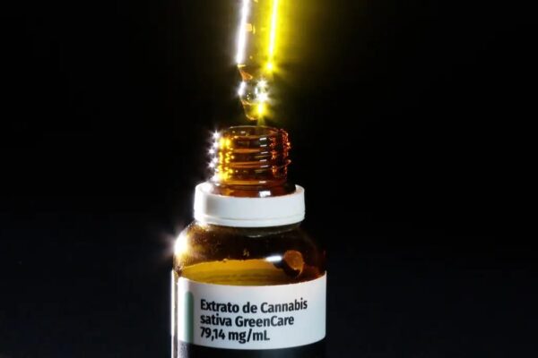 Autorizações para importação de cannabis medicinal aumentam 29% em 2026