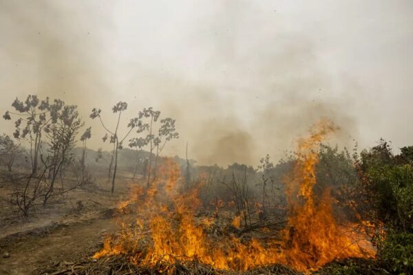 Brasil registra quase 30 mil focos de incêndio em 2026; aumento de temperatura levanta alerta de risco para Amazônia, Cerrado e Caatinga