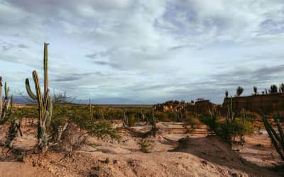Mudanças climáticas podem levar Brasil a ter 12 dias de racionamento de água por ano até 2050